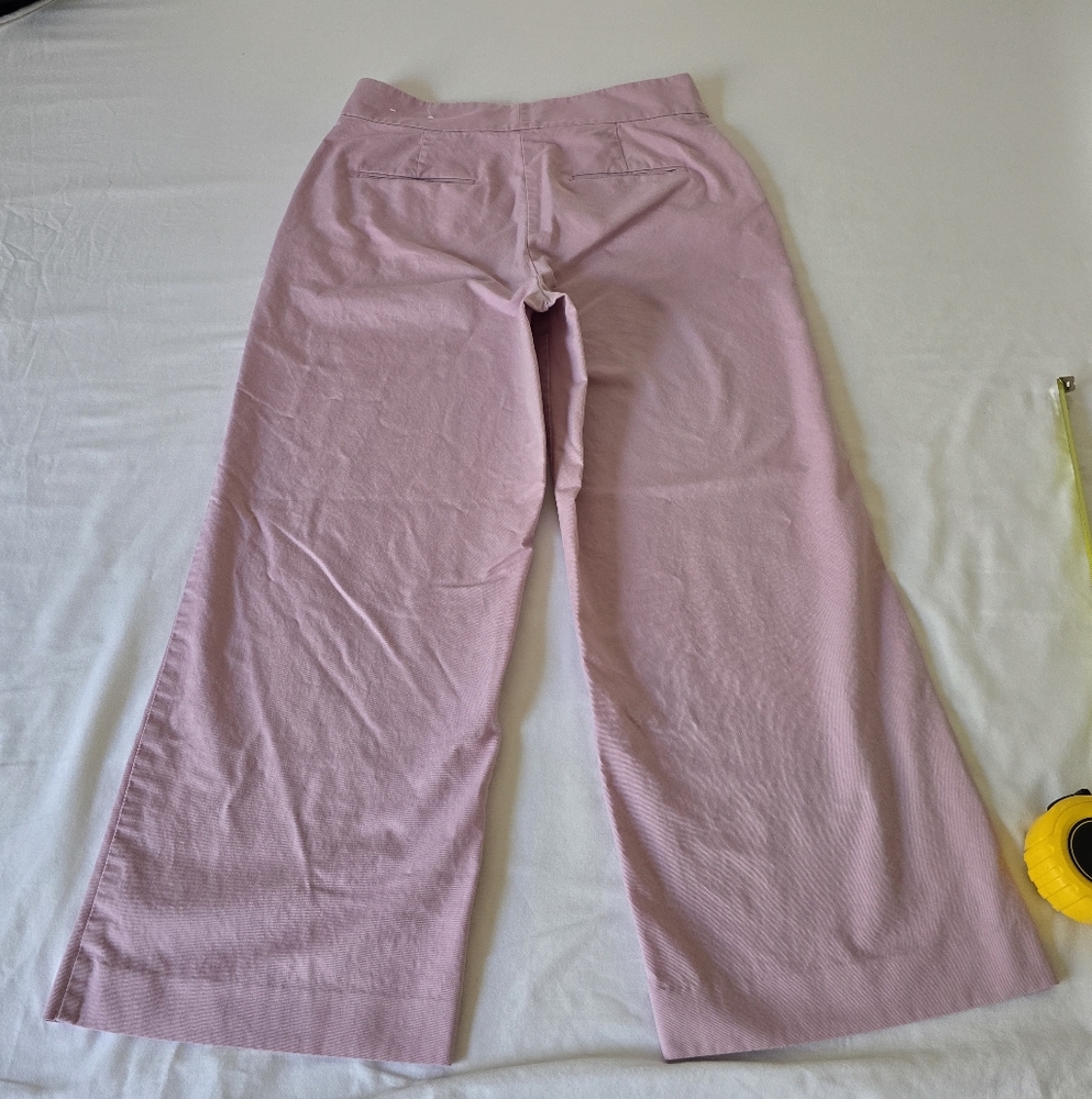Ann Taylor Factory Women's Pink Trousers